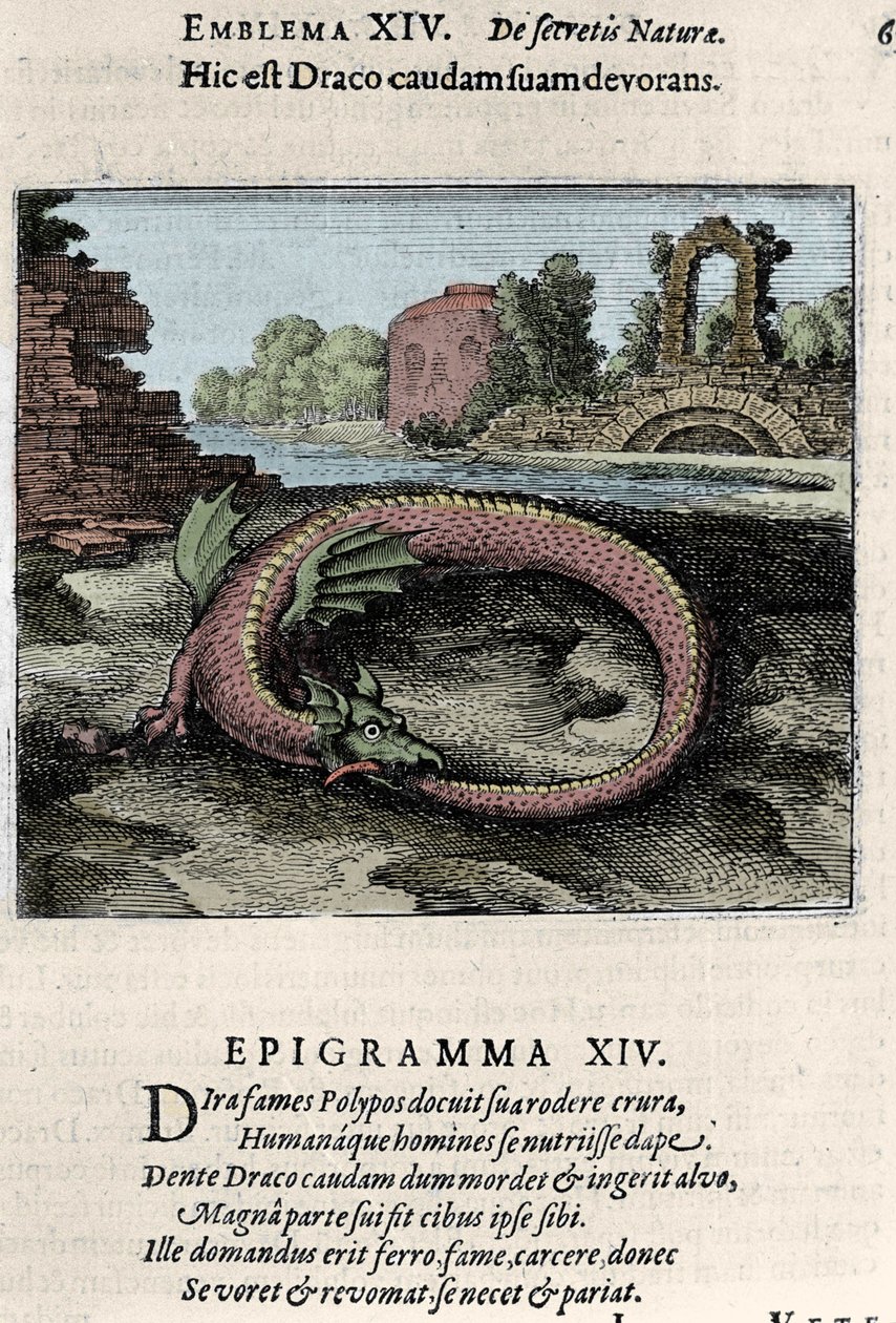 Smok bijący ogonem (lub Ouroburo (?)). Płyta zaczerpnięta z wędrówki alchemii „Latająca Atalanta to emblematyczna powieść tajemnej chemii natury” Michela Maiera (1568-1622) autorstwa Unknown artist