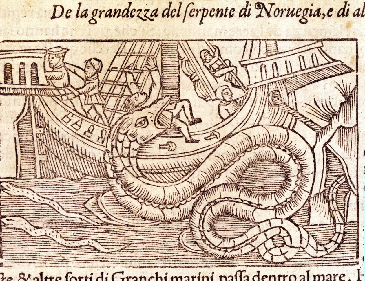 Gigantyczny wąż morski atakuje statek i bije jego załogę. Grawer Olausa Magnusa (1490 - 1557), szwedzkiego zakonnika i geografa, „Historia de Gentis Septentrionalibus”, Wenecja autorstwa Unknown artist