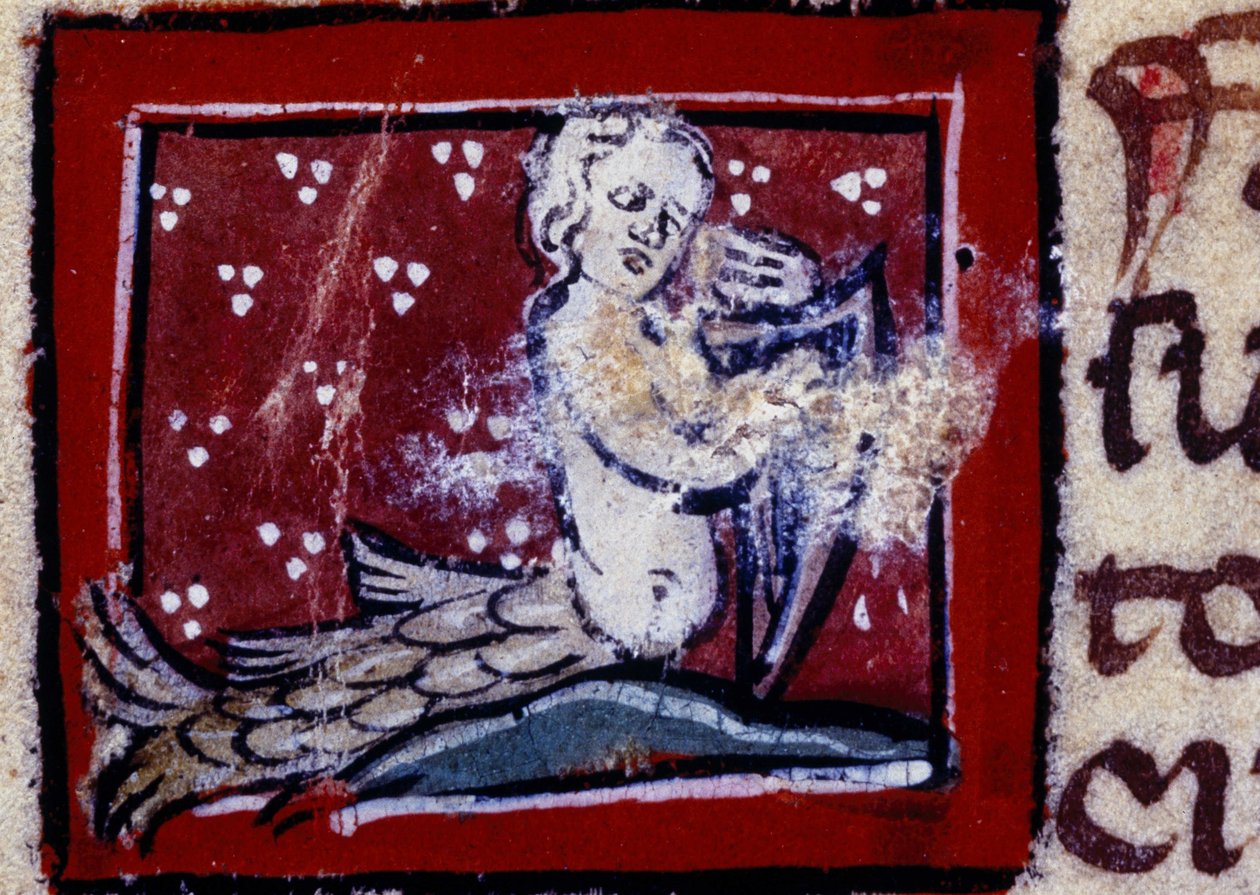 Syrena - Bestiariusz XIV wieku. Mediolan, Biblioteka Trivulziana. autorstwa Unknown artist
