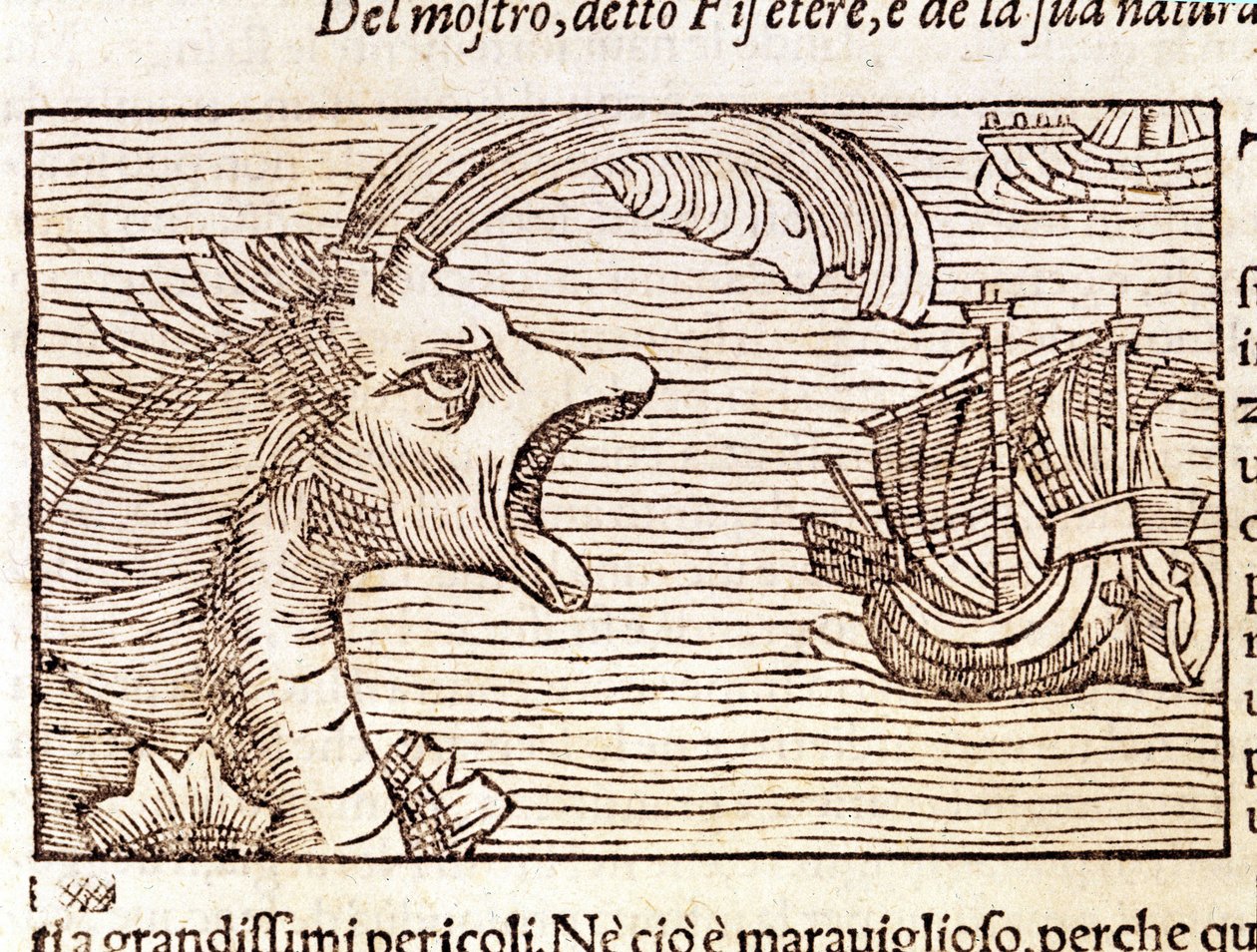 Kaszalot (?) (physeter) atakuje statek. Grawer Olausa Magnusa (1490 - 1557), szwedzkiego zakonnika i geografa, „Historia de Gentis Septentrionalibus”, Wenecja autorstwa Unknown artist