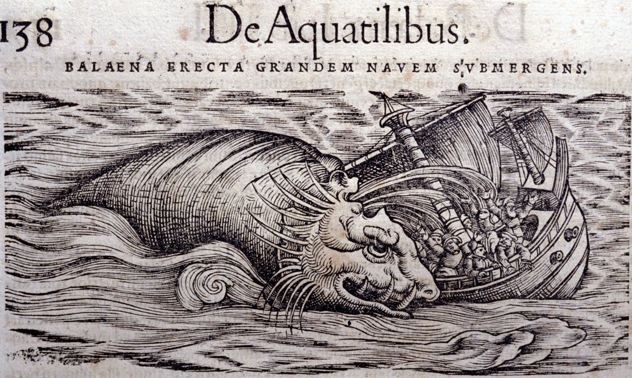 Wieloryb niszczy kadłub łodzi i powoduje jej zatonięcie. Grawerowanie Historia Animalium autorstwa Conrada Gesnera (1516-1565), Tiguri autorstwa Unknown artist