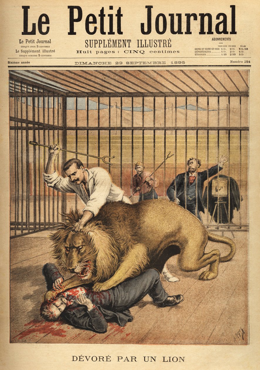 Młody mężczyzna, chcący zostać sfotografowanym w klatce lwa, zostaje pożarty, mimo wysiłków poskramiacza, by go zatrzymać. Grawer w „Le petit journal”” 29.09.1895. Kolekcja Selvy. autorstwa Unknown artist