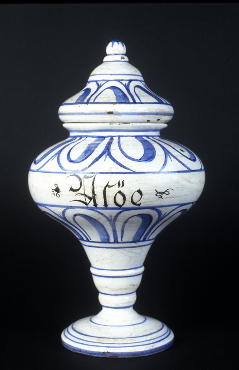 Albarelle: XVI-wieczny wazon apteczny zawierający aloes. Muzeum Nauki i Techniki, Mediolan. autorstwa Unknown artist