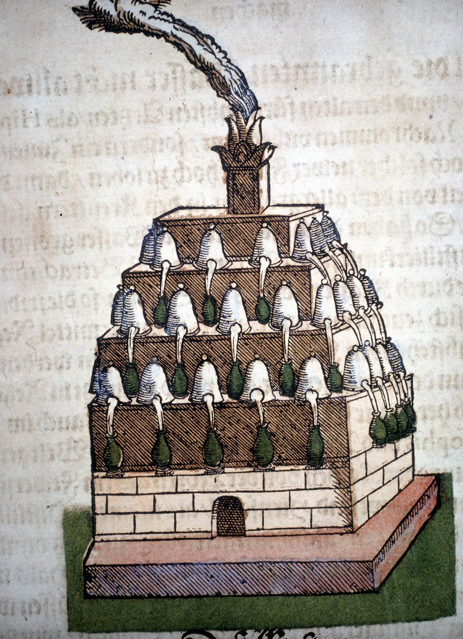 Alchemia: Athanor Four z książki Pietro Andrea Mattioli (Matthiole) (1500-1577). Frankfurt autorstwa Unknown artist
