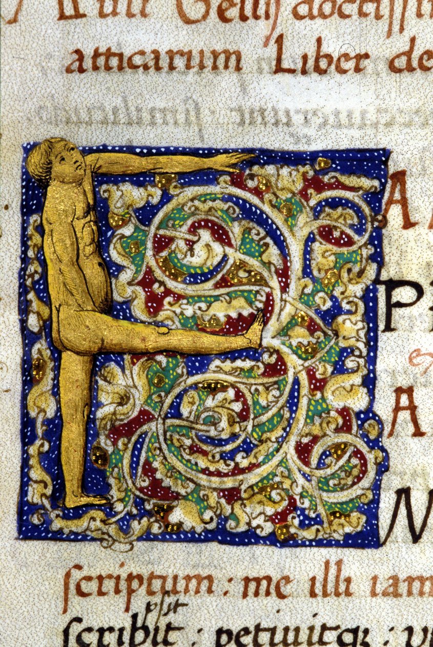 Alfabet: zminiaturowana litera F autorstwa Unknown artist