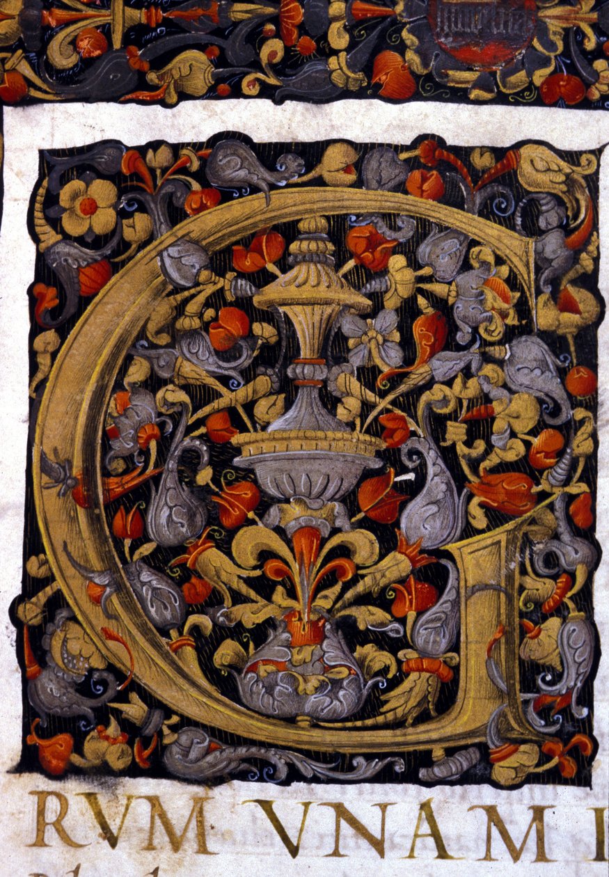 Alfabet: zminiaturowana litera G autorstwa Unknown artist