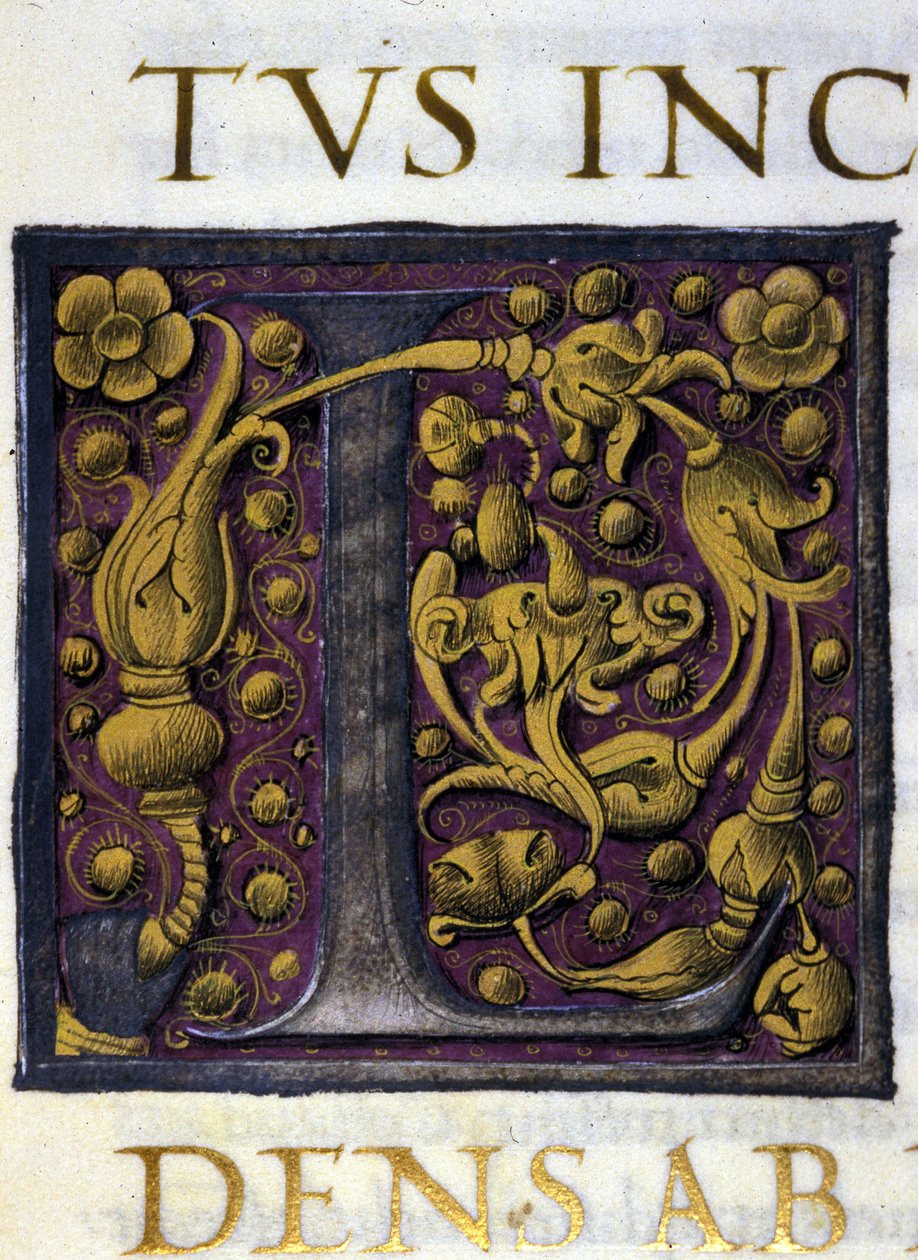 Alfabet: zminiaturowana litera L autorstwa Unknown artist