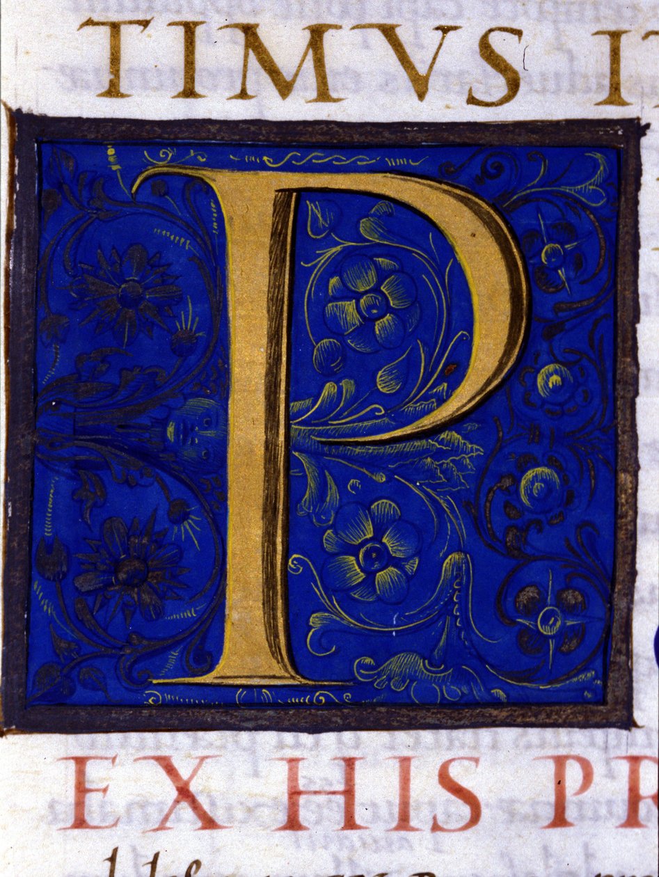 Alfabet: zminiaturowana litera P autorstwa Unknown artist