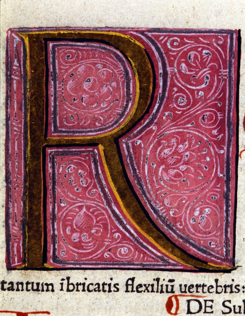 Alfabet: zminiaturowana litera R autorstwa Unknown artist