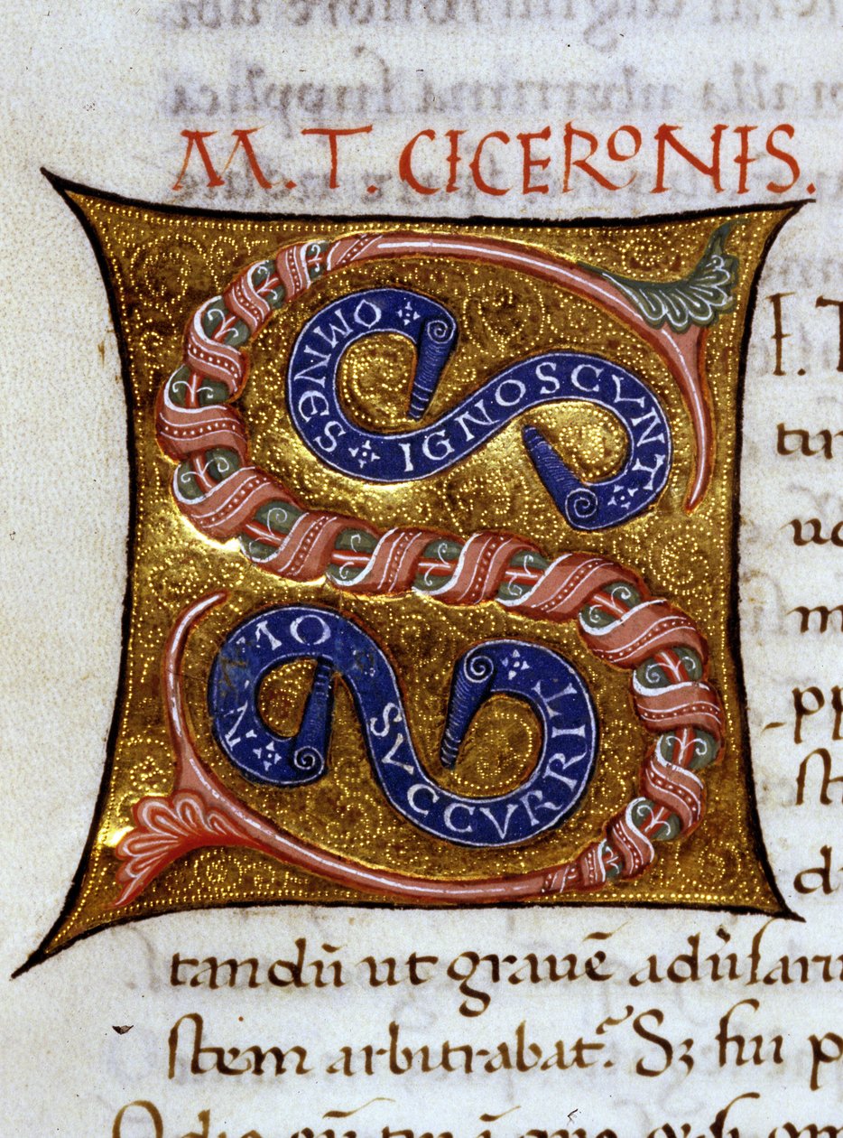 Alfabet: zminiaturowana litera S autorstwa Unknown artist