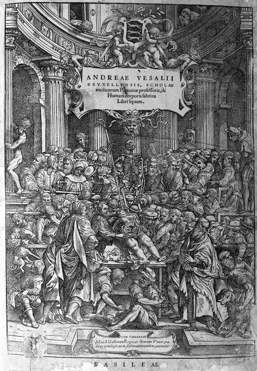 Pokój anatomiczny. Frontyspicjum dzieła „Humani corporis fabrica libri septem 1543” autorstwa André Vésale (1514-1564), holenderskiego anatoma (po łacinie: Andrea Vesalius, po holendersku: Andries Van Wesel). autorstwa Unknown artist