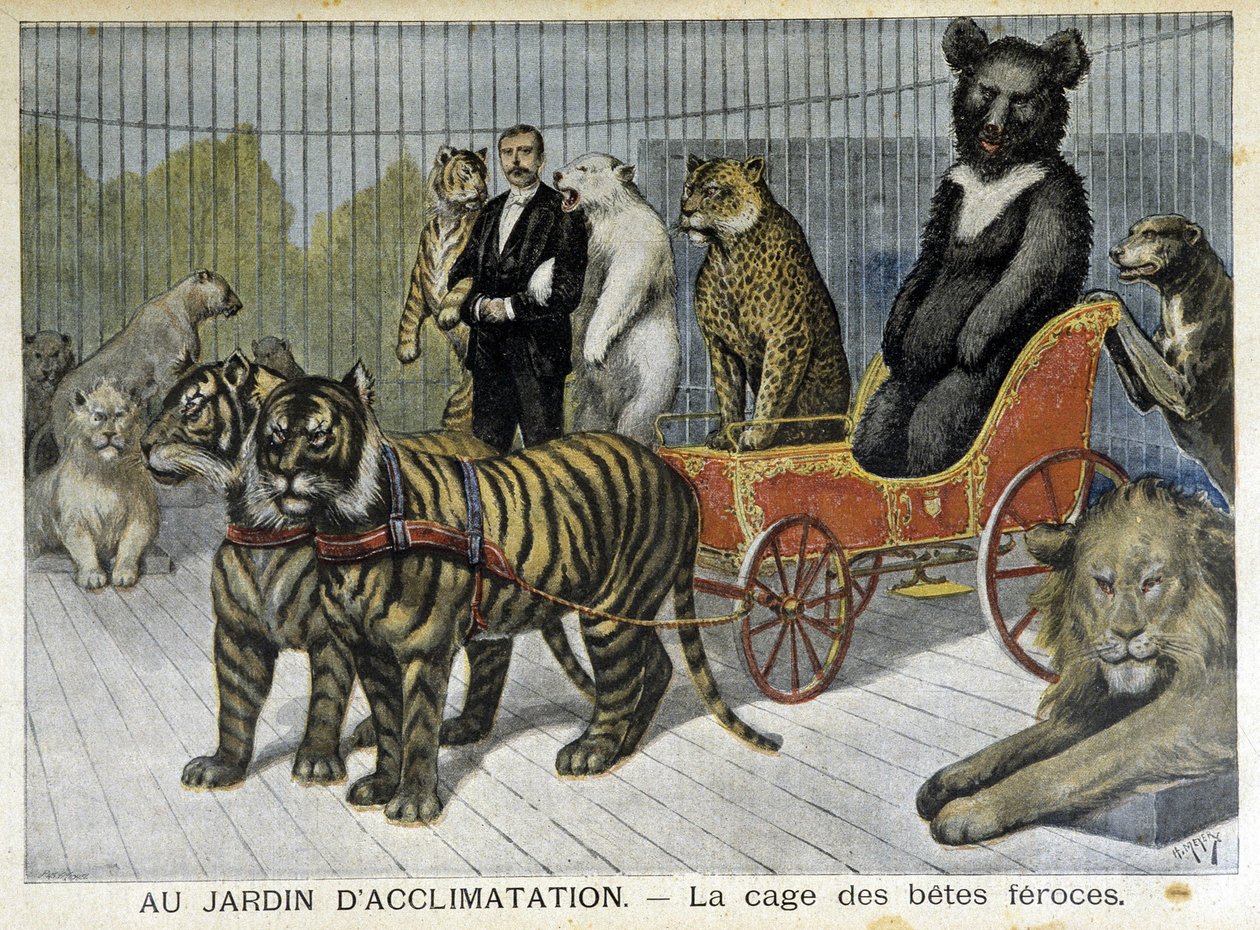 W ogrodzie aklimatyzacji: klatka dzikich bestii - w „Le Petite Journal” z dnia 06.02.1895 autorstwa Unknown artist