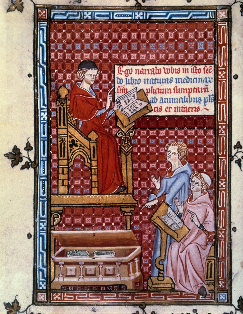 Awicenna (980-1037) autorstwa Unknown artist