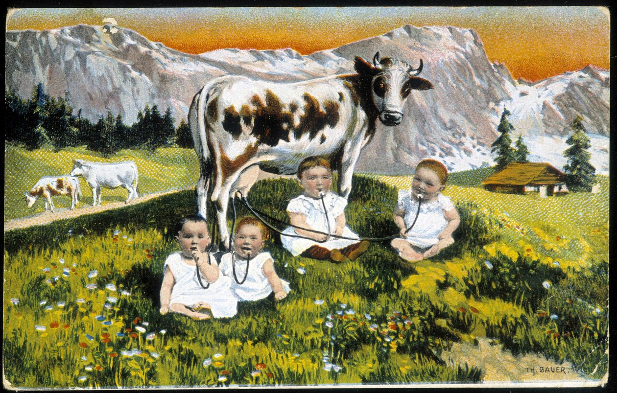 Niemowlęta uparte krowy rurami - Pocztówka, koniec XIX wieku autorstwa Unknown artist