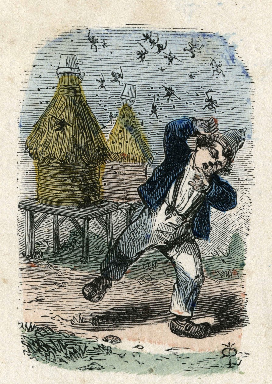 Pszczoły atakują dziecko w pobliżu ula. Ilustracja XIX wieku. Kolekcja Bianchetti autorstwa Unknown artist