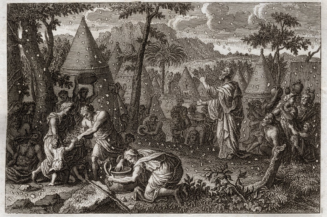 Biblia Royaumont, Stary Testament: Żydzi na pustyni (lub bunt manny). Bóg sprawia, że manna spada z nieba przez czterdzieści lat. Ilustracja z 1811 roku. autorstwa Unknown artist