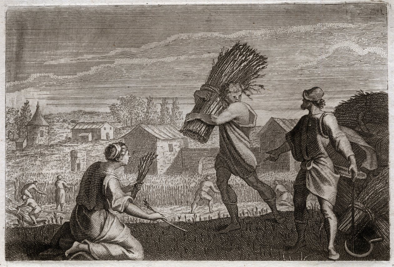 Biblia Royaumont, Stary Testament: Rut podąża za swoją teściową Noemi (Noemi, Noemi) w ziemi Judy i żniwa pola pszenicy Boaz (Boaz). Ilustracja z 1811 roku. autorstwa Unknown artist