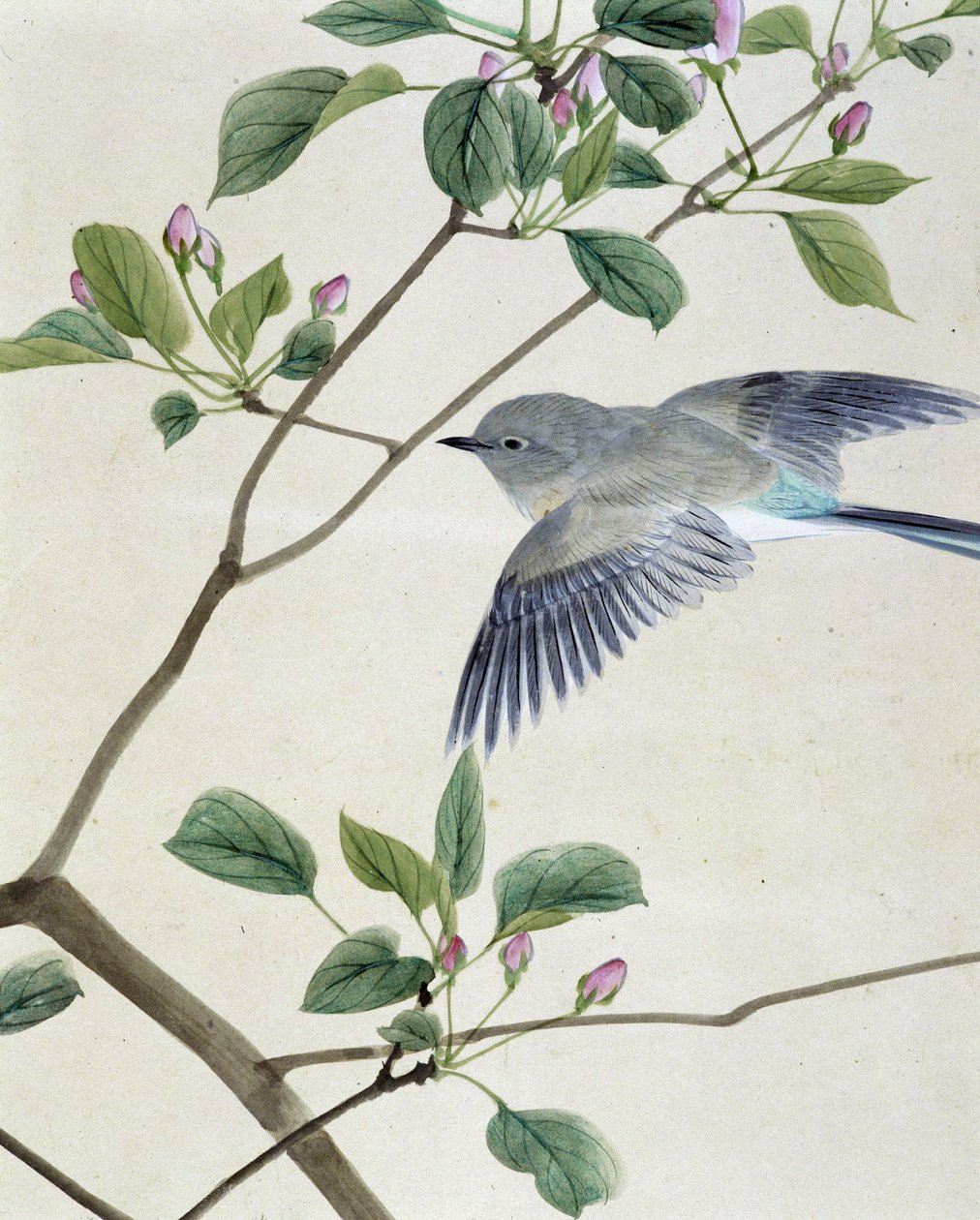 Ptak - japoński rysunek autorstwa Riou Chim, koniec XIX wieku autorstwa Unknown artist