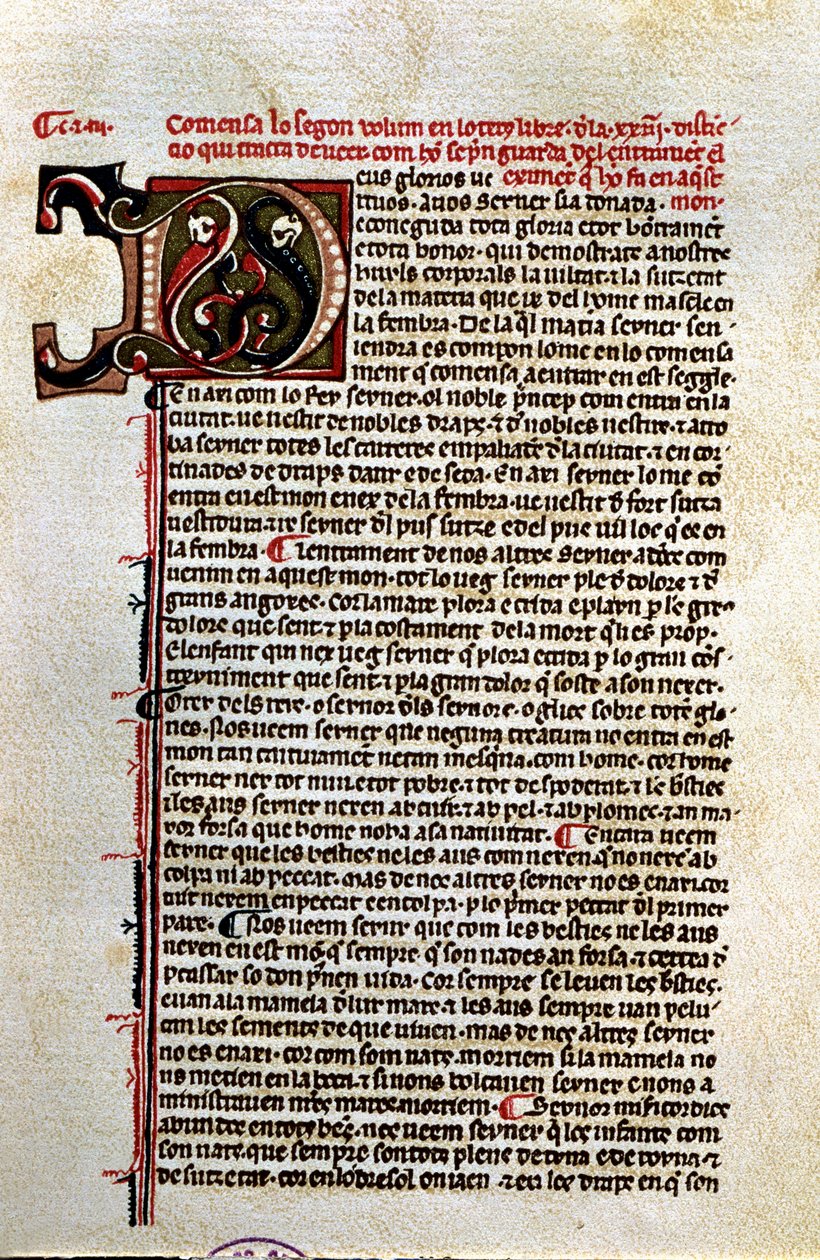  autorstwa Unknown Artist