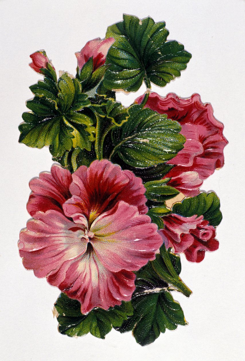 Bukiet kwiatów. XIX-wieczna chromolitografia. autorstwa Unknown artist