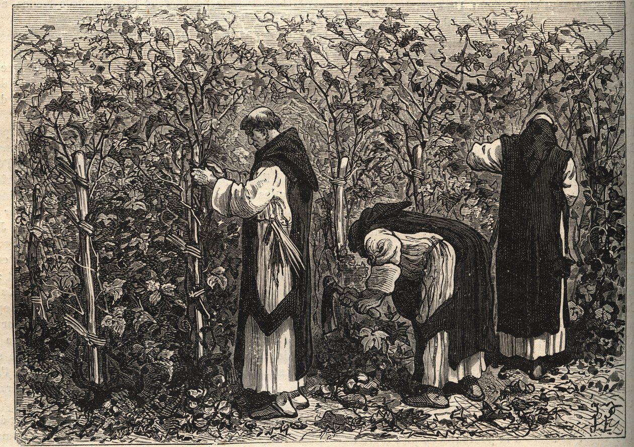 Burgundiani mnisi uprawiający winorośl – Louis Figuier – koniec XIX wieku autorstwa Unknown artist