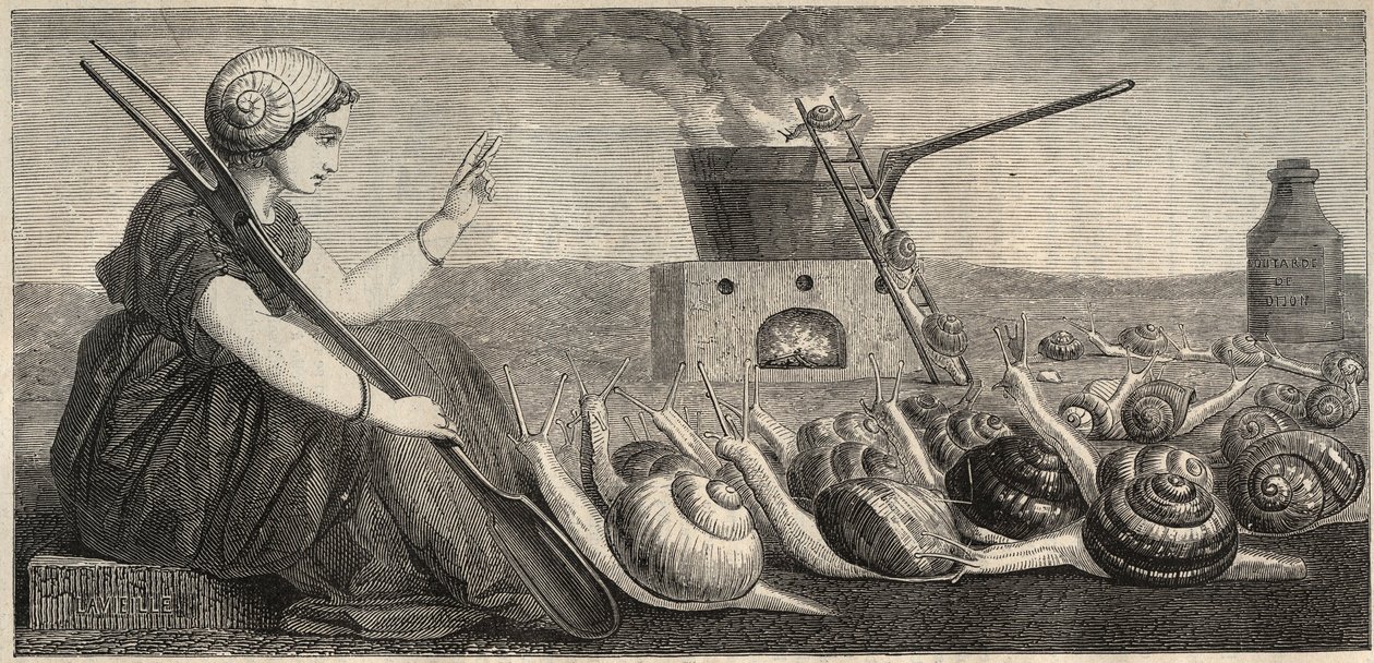 Ślimak burgundzki - rycina XIX wiek autorstwa Unknown artist