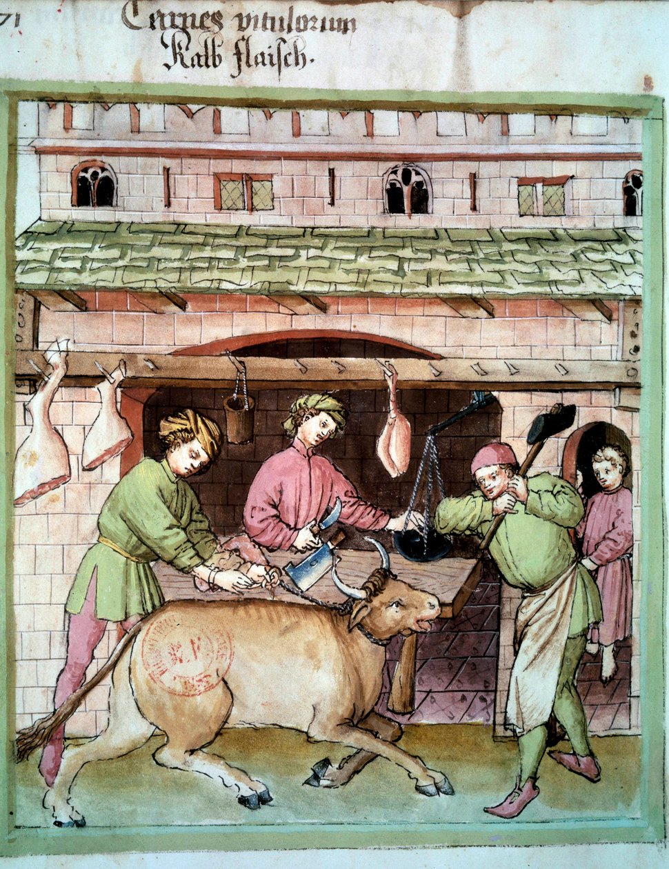 Rzeź: rzeź wołu. Oświetlenie z doju medycyny i dietetyki „”Tacuinum sanitatis”” autorstwa Unknown artist