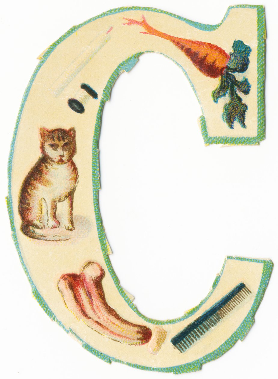C: koral, marchewka, świeca, bawełna, kot, kolocynta, grzebień (kolor litho) autorstwa Unknown artist
