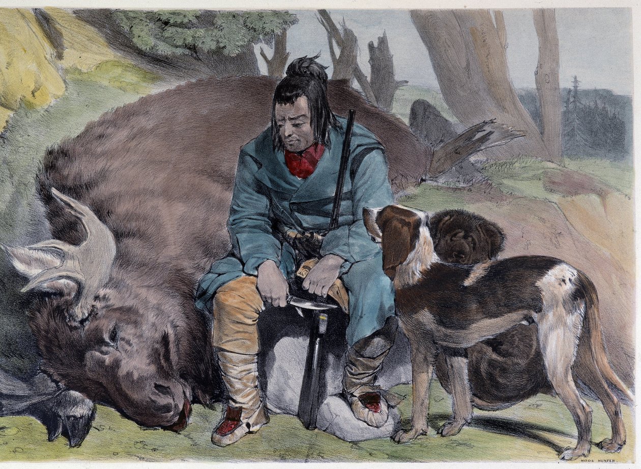 Kanadyjski Huron Elk Hunt - w „Szkicach Shytha w Kanadzie” Coke Smyth, Londyn autorstwa Unknown artist
