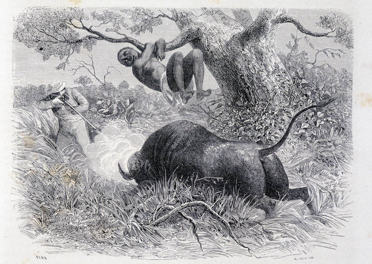 Kapitan Speke polujący na bawoły - w „Tour du Monde”” autorstwa Unknown artist