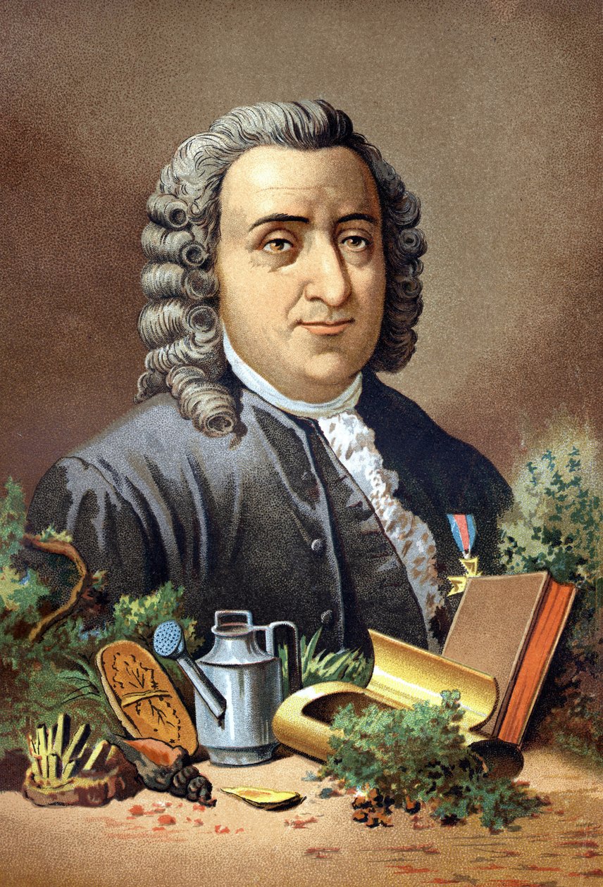 Carl Von Linné Szwedzki przyrodnik i pisarz (1707 - 1778) według „Nauka i jej ludzie” Louisa Figuiera. Barcelona 1881 autorstwa Unknown artist