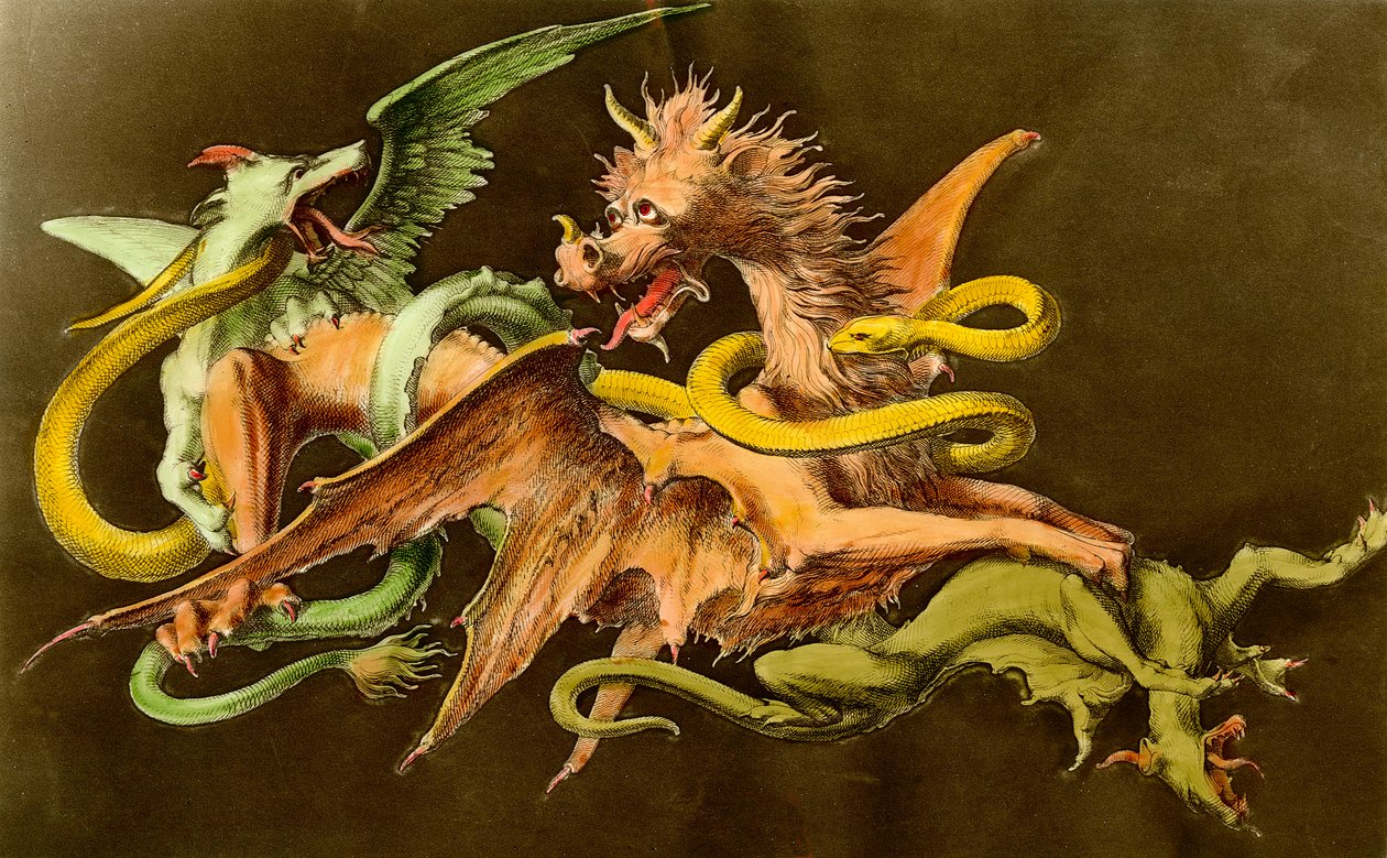 Chimery Smok walczący z dwoma potworami. Rycina z XIX wieku. autorstwa Unknown artist