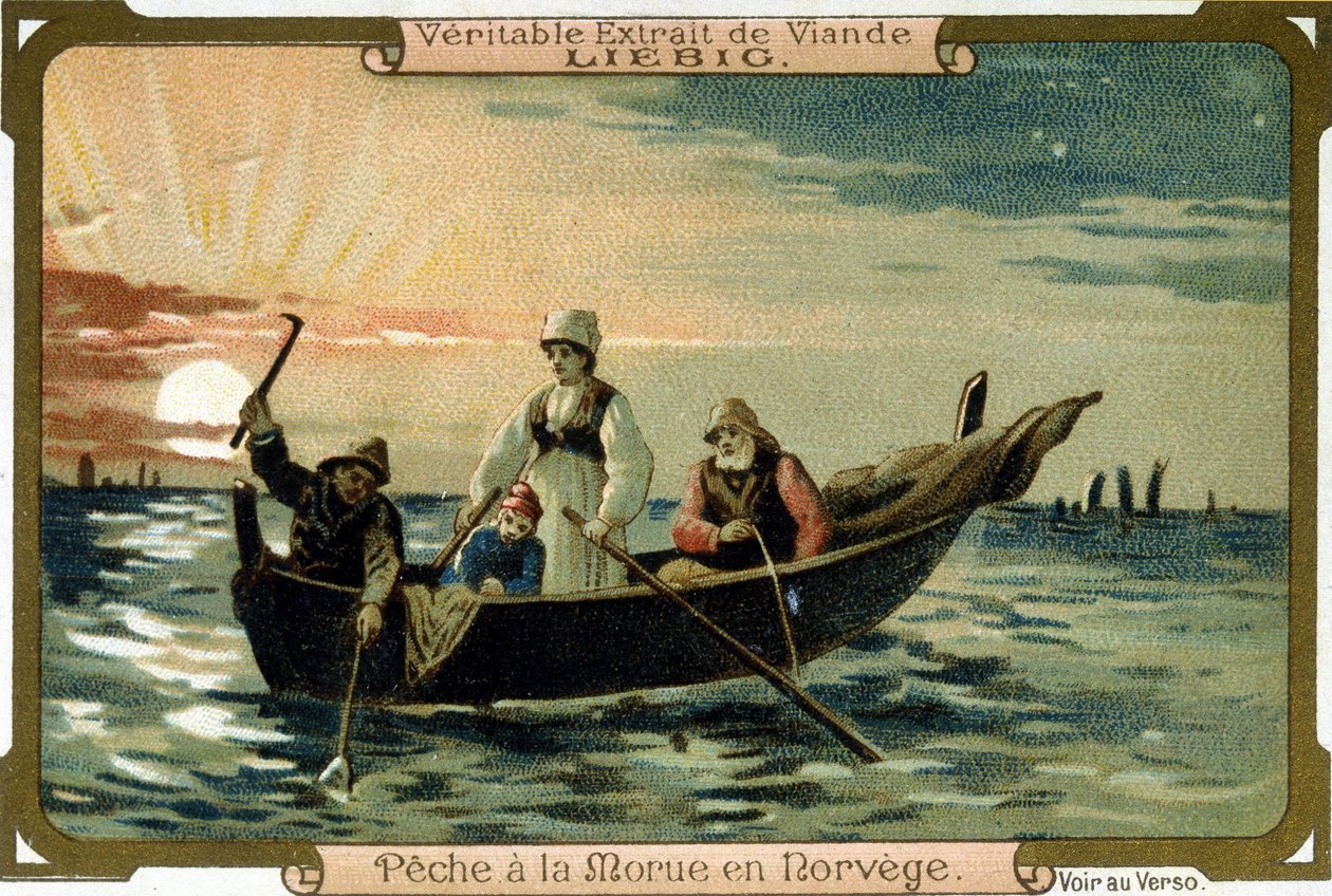 Połowy dorsza w Norwegii. Pakowanie produktów Liebiga. autorstwa Unknown artist