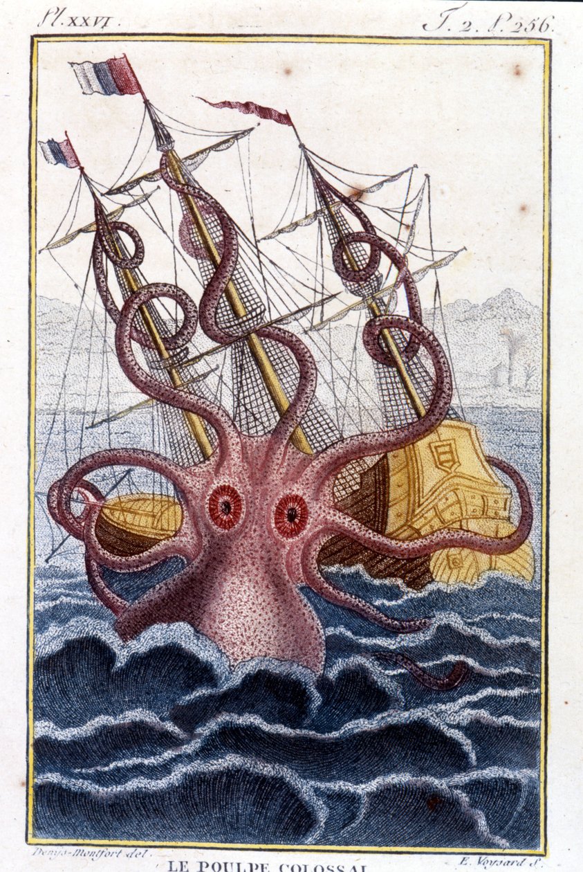 Ośmiornica kolosalna (ośmiornica olbrzymia, kraken) atakująca statek (statek, statek) - grawerowanie książki Pierre