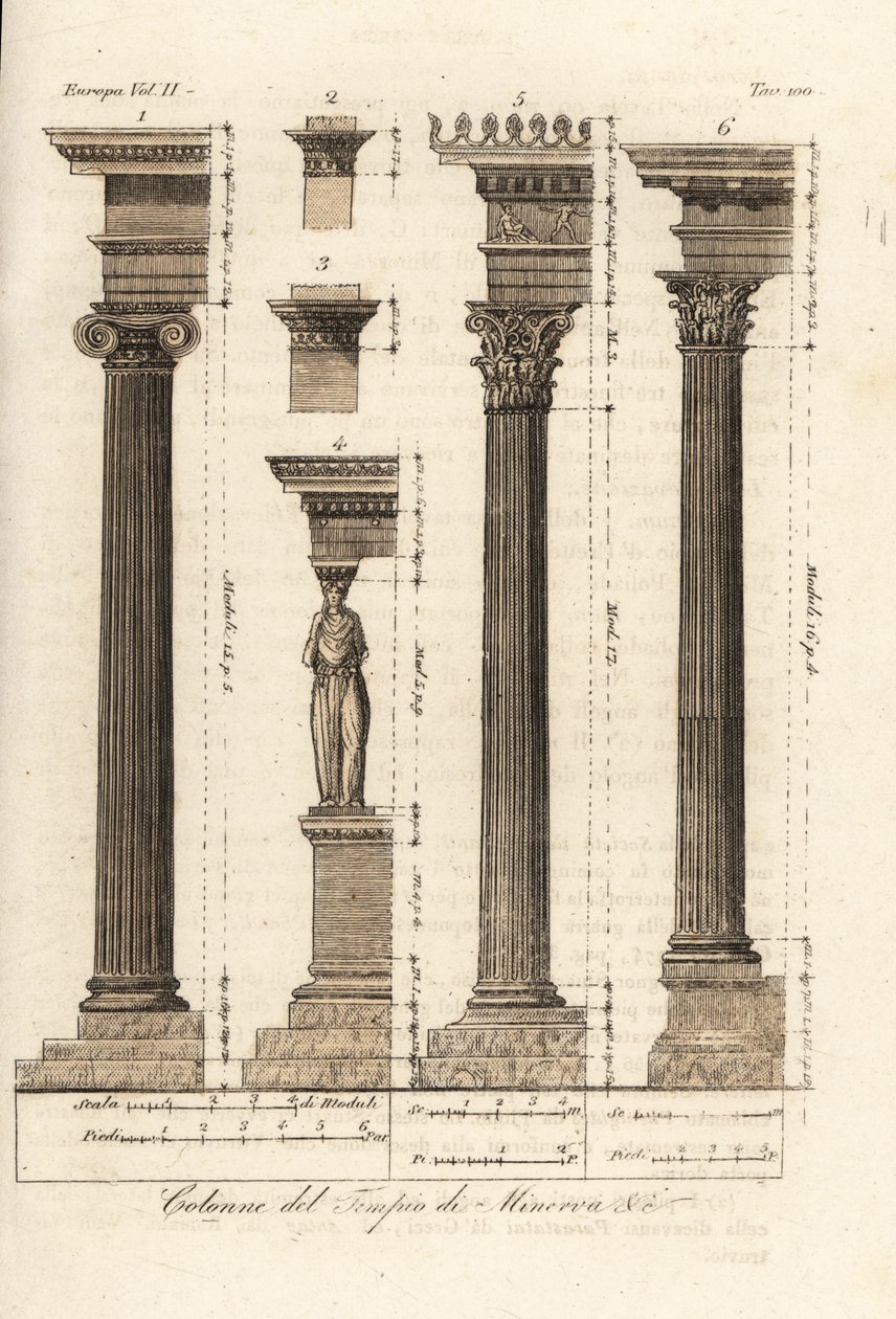 Kolumny ze świątyni Minerwy w Atenach autorstwa Unknown artist