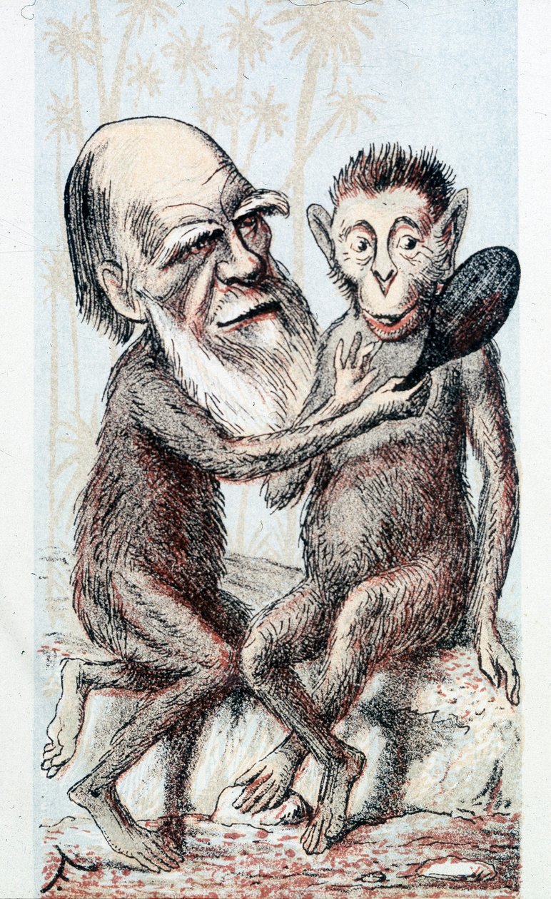 Komedia nawiązująca do teorii Darwina - w „London Sketchbook” autorstwa Unknown artist