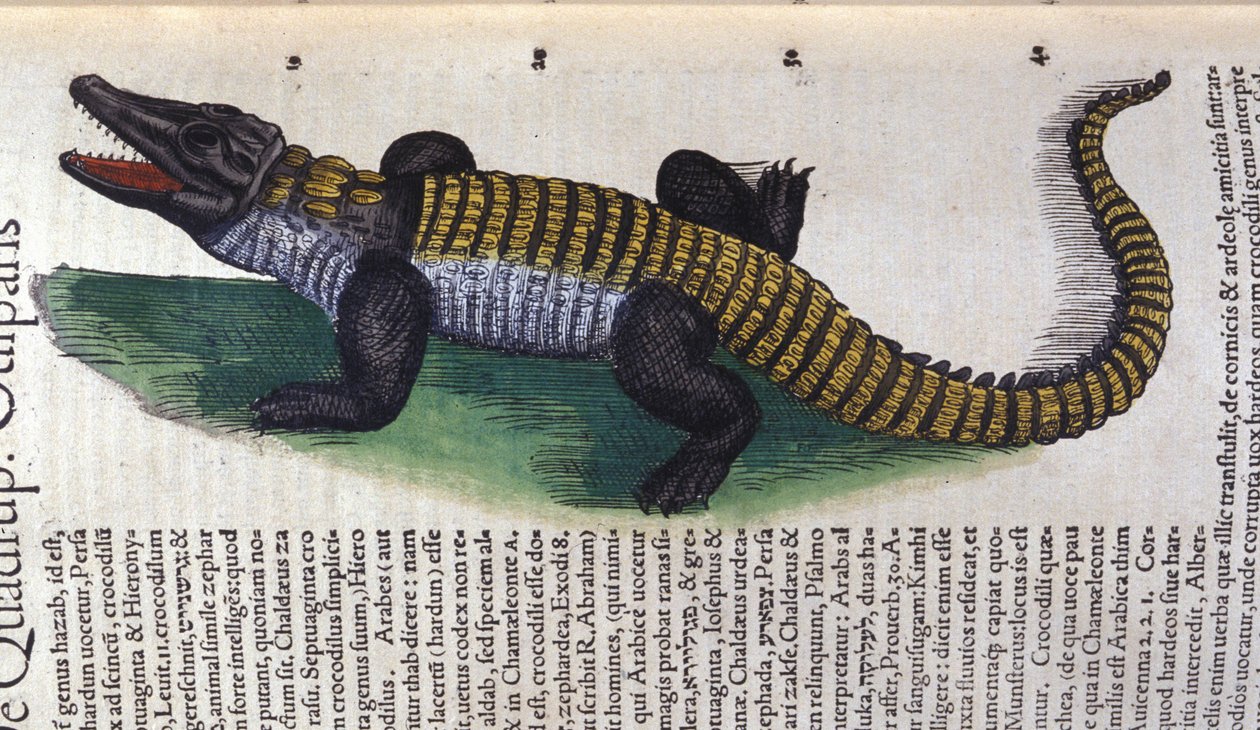 Krokodyl. w Historia Animalium Conrada Gesnera (1516 - 1565), Tiguri autorstwa Unknown artist