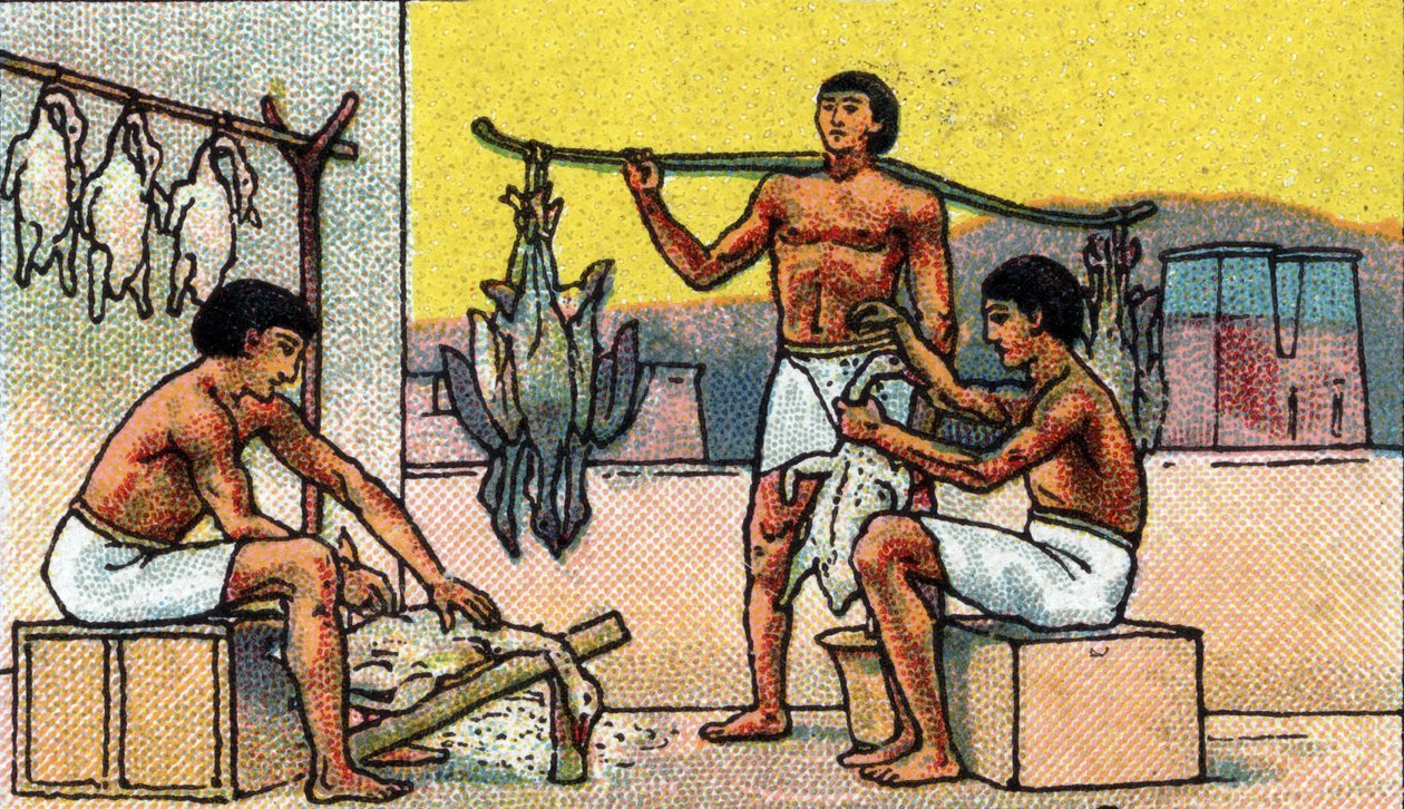 Życie codzienne w starożytnym Egipcie: hodowla i przygotowanie gęsi do solenia, początek XX wieku (chromo) autorstwa Unknown Artist