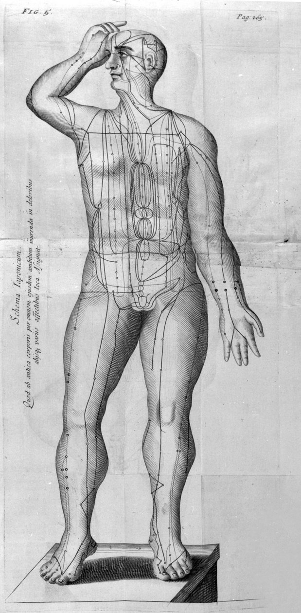 De Acupunctura autorstwa W.Ten Rhijn. Londyn 1683. Pierwszy zachodni tekst dotyczący akupunktury. autorstwa Unknown artist