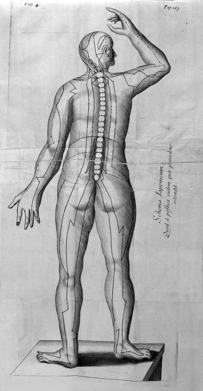 De Acupunctura autorstwa W.Ten Rhijn. Londyn 1683. Pierwszy zachodni tekst dotyczący akupunktury. autorstwa Unknown artist