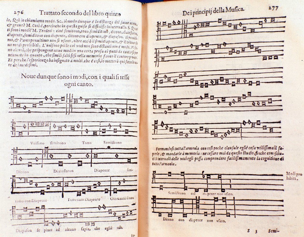 Podwójna strona z The Philosophical Daisy Gregora Reischa (1600) autorstwa Unknown artist