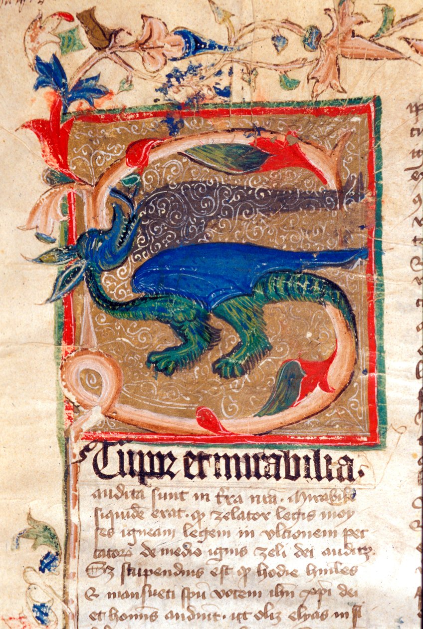 Dragon Decoree Lettrine Fragment rękopisu z XIV wieku autorstwa Unknown artist