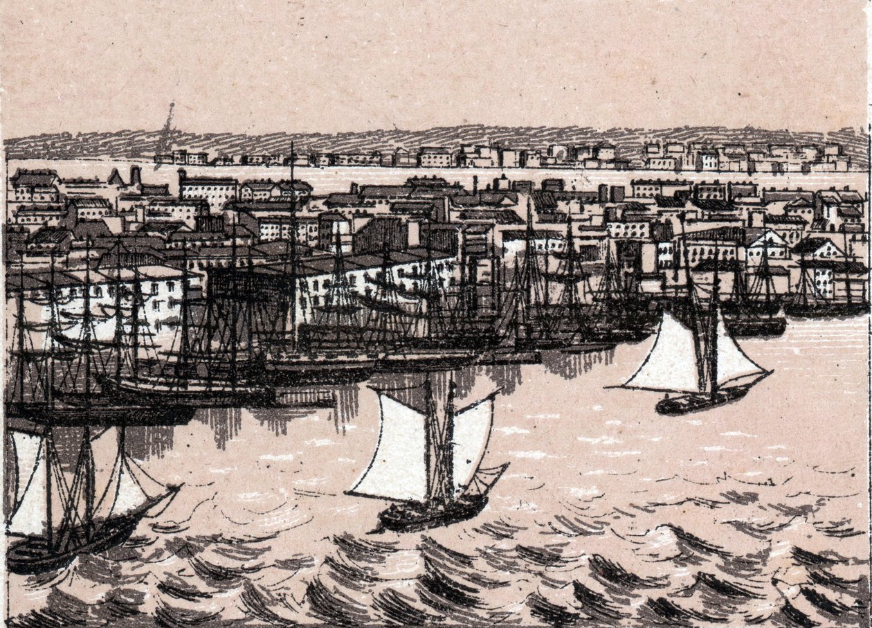 East River w Nowym Jorku w Stanach Zjednoczonych w „Świat przedstawia 168 widoków”” Niedatowany (koniec XIX wieku) autorstwa Unknown artist