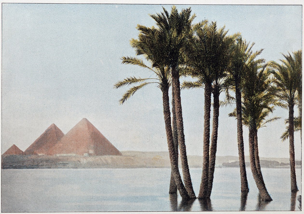 Egipt: powódź Nil i piramidy w Gizie (Gizeh, Gizeh, Giza). autorstwa Unknown artist