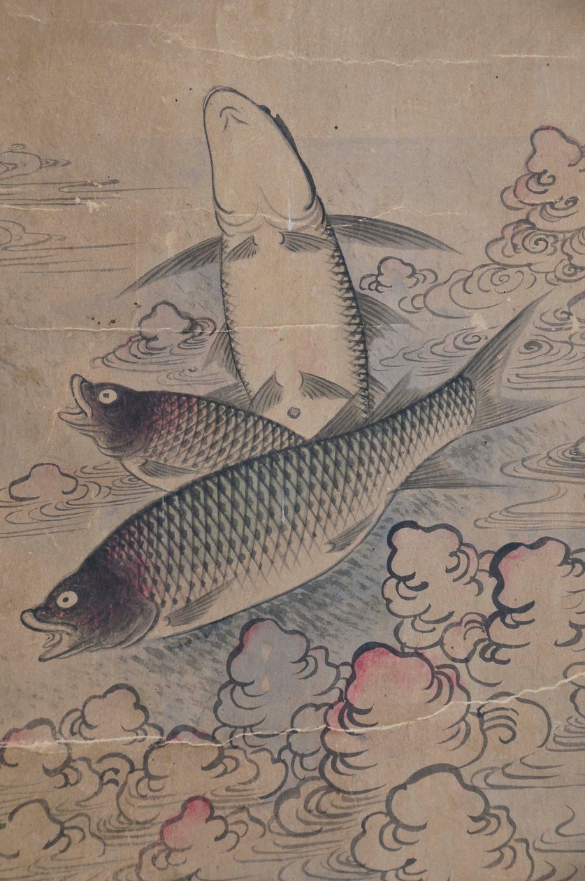 Eohaedo autorstwa Unknown artist