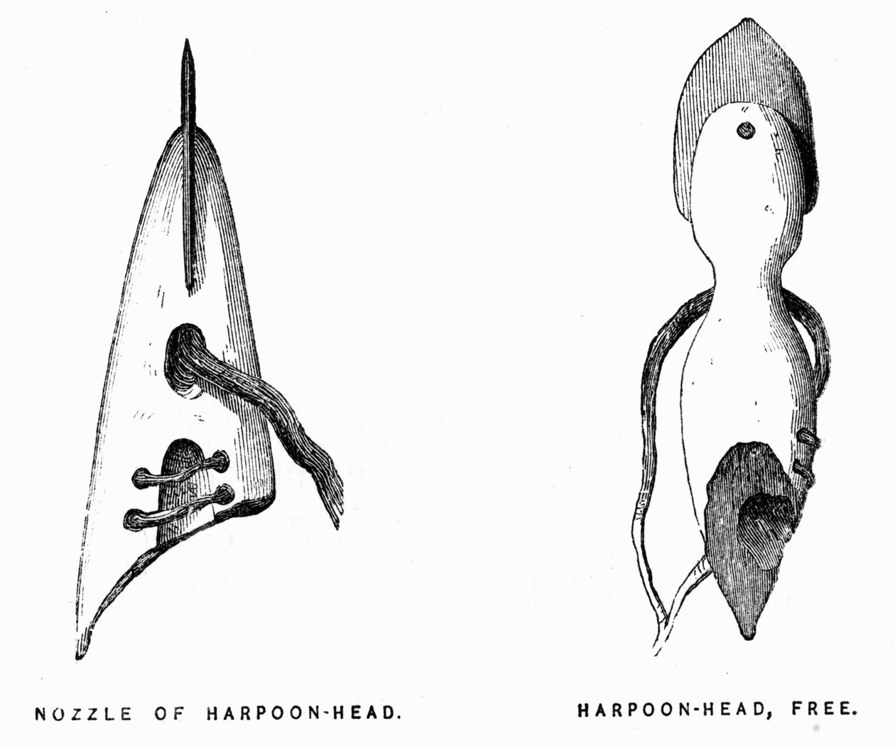 Eskimoskie harpuny - Elisha Kent Kane, Artic Exploration w latach 1853-1855, Filadelfia, Childs i Peterson autorstwa Unknown artist