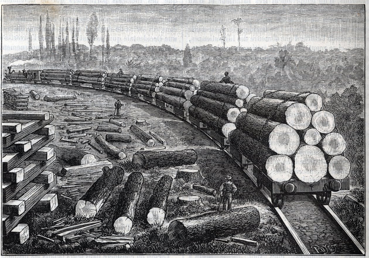 Eksploatacja lasów Stanów Zjednoczonych. Koleje tymczasowe z drewnianym torem. Wagony przewożące pnie drzew. Grawer w „”La Nature”” autorstwa Unknown artist