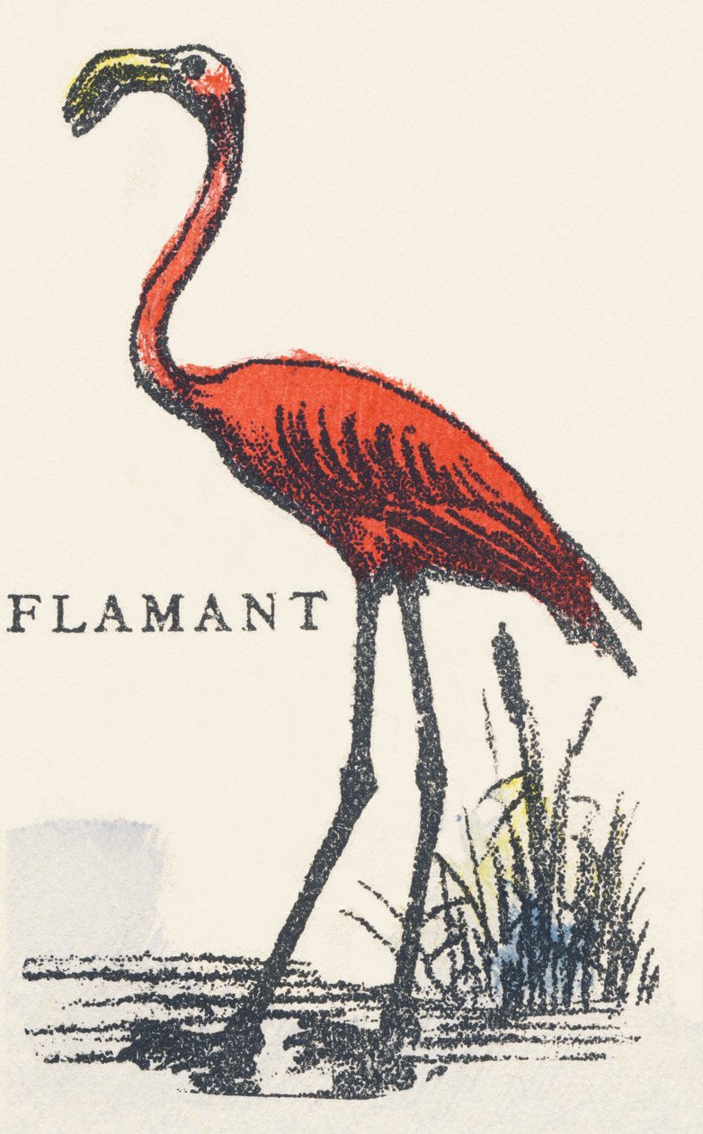 F: flaming autorstwa Unknown artist
