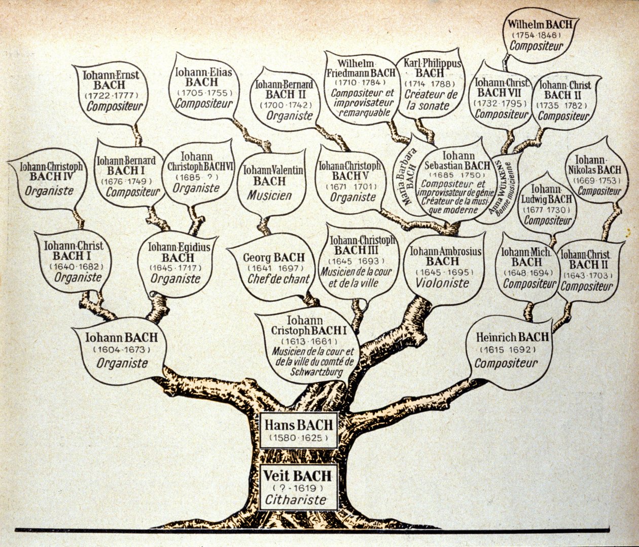 Drzewo genealogiczne rodziny Bach autorstwa Unknown artist