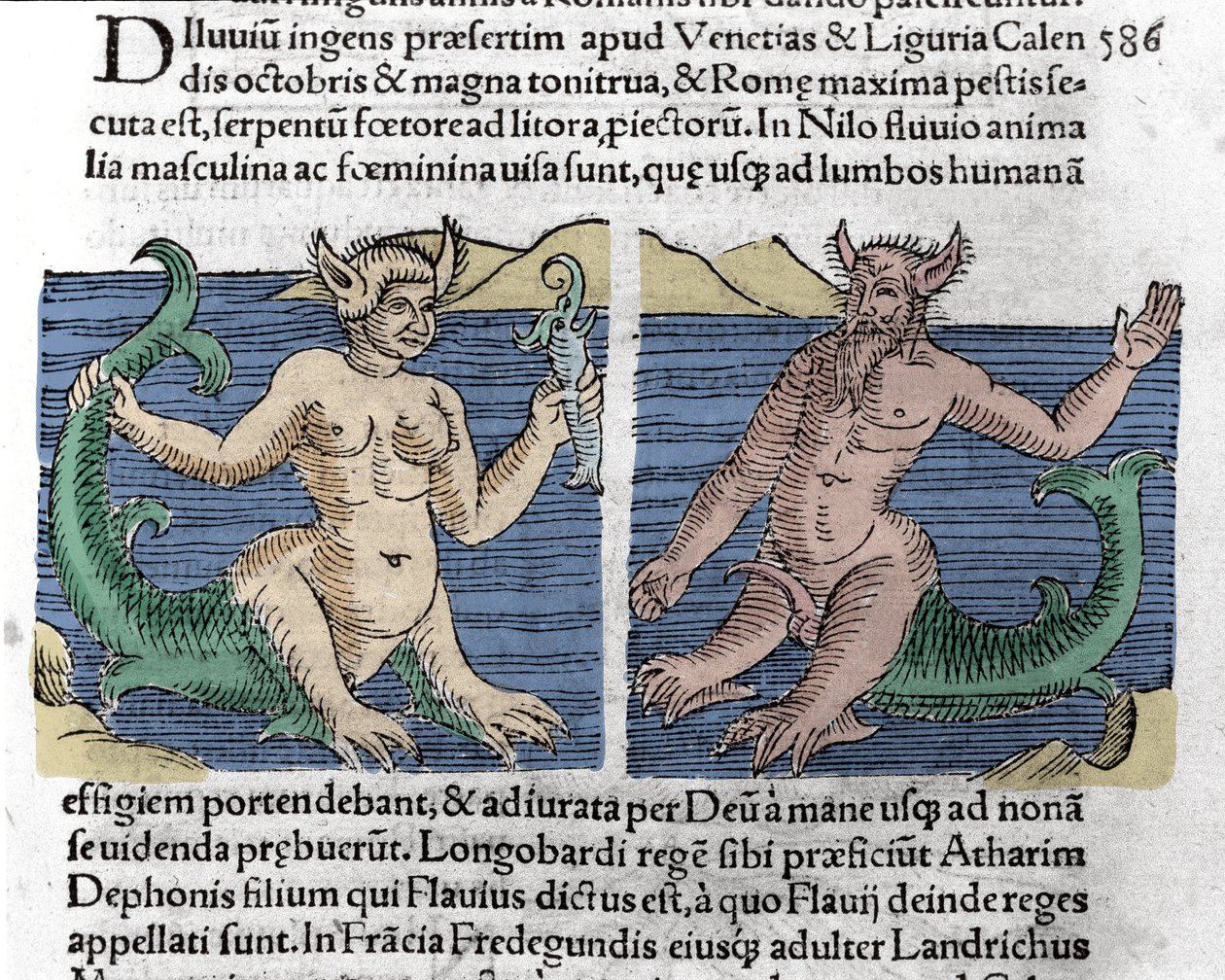 Fantastyczne stworzenia: Traszka i syrena widziana w Nilu. Rycina z „Le livre des prodiges” (Kronika synów marnotrawnych i zapowiedzi Basileae) Wolfharta (Konrada Lycosthene) 1557 autorstwa Unknown artist